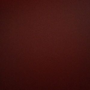 Meet your Posher, Dani